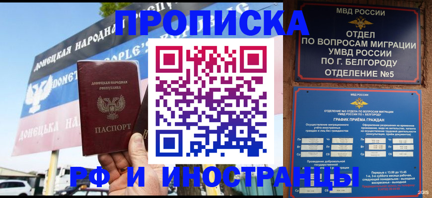 временная регистрация 2025 в Почепе